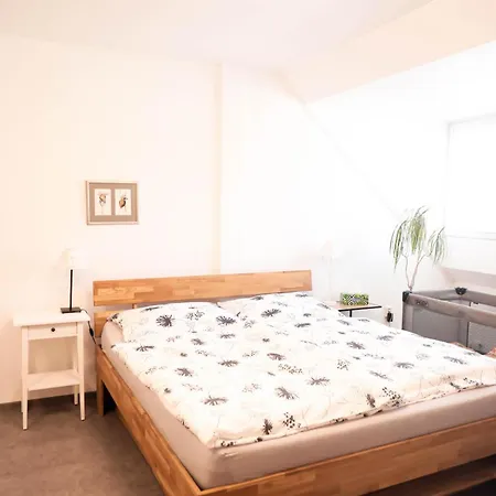 U Zoubku Apartment *